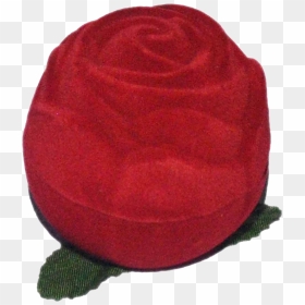 Red Ring Case - Wool, HD Png Download - red ring png