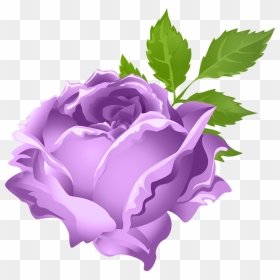 Transparent Rose Clipart - Purple Roses Clipart, HD Png Download - cartoon rose png