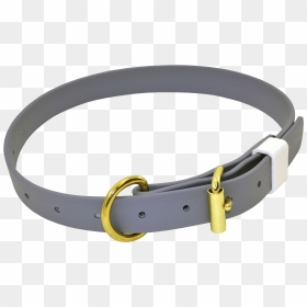Dog Collar Png - Biothane Dog Collars, Transparent Png - collar png