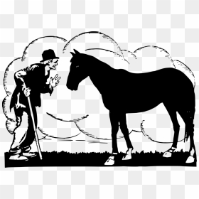 Pony,livestock,horse Tack - Mane, HD Png Download - tack png