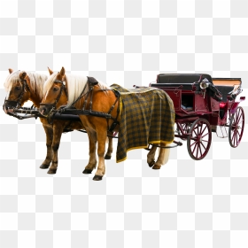 Carriage Png - Horse And Buggy Png, Transparent Png - tack png