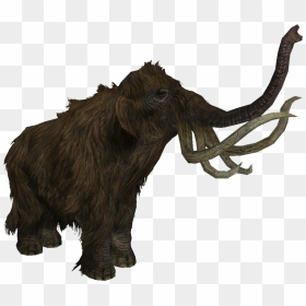 Skyrim Mammoth Png , Png Download - Skyrim Mammoth Png, Transparent Png - mammoth png