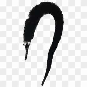 Black Worm On A String, HD Png Download - worms png