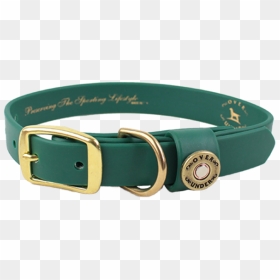 Water Dog Collar Alpine Green - Waterproof Dog Collar, HD Png Download - collar png