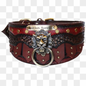 Transparent Trojan Png - Belt, Png Download - collar png