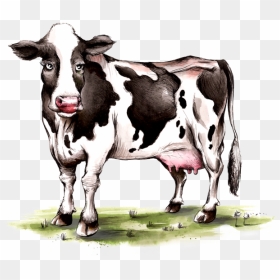 Dairy Cow, HD Png Download - cow icon png