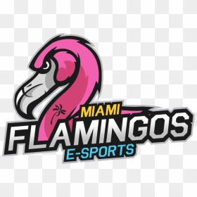 Vireo Clipart Vlog - Miami Flamingos Esports, HD Png Download - vlog png