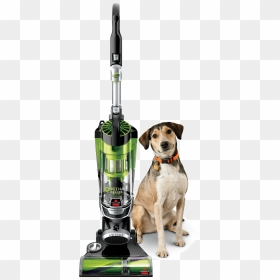 Pet Hair Eraser&reg - Bissell Pet Vacuum, HD Png Download - annoying dog png