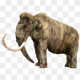 Mammoth Vector Tusk - Mastodon Png, Transparent Png - mammoth png