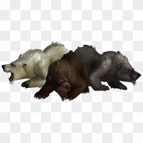Vulture, HD Png Download - bears png
