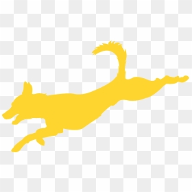 Illustration, HD Png Download - jumping cat png