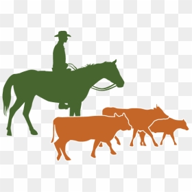 Cattle Native Americans In The United States Silhouette - Cattle Raising Png, Transparent Png - united states silhouette png