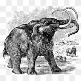 Mammoth Png , Png Download, Transparent Png - mammoth png