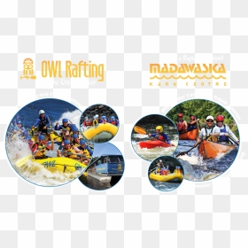 Whitewater Rafting, Kayaking And Canoeing With Owl - Rafting And Kayaking Difference, HD Png Download - kayaking png