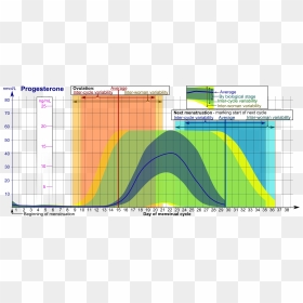 Progesterone During Menstrual Cycle, HD Png Download - cycle png