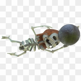 Clash Of Clans Skeleton With Bomb Clip Arts - Bomb Skeleton Clash Of Clans, HD Png Download - hog rider png