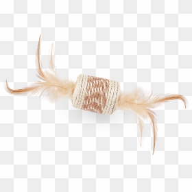 Cat Grabs Treat, HD Png Download - gold feather png