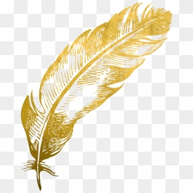 #gold #feather #feathers #native #boho #pretty #decals - Illustration, HD Png Download - gold feather png
