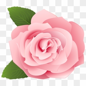 Cartoon Rose Png, Transparent Png - cartoon rose png