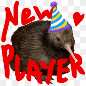 Https - //i - Imgur - Com/jrswos4 - Birthday Party - Kiwi With Birthday Hat, HD Png Download - birthday party png