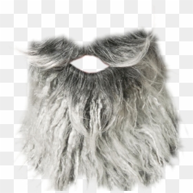 Thumb Image - Barba Png, Transparent Png - barba png