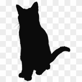 Cat Jumps, HD Png Download - jumping cat png