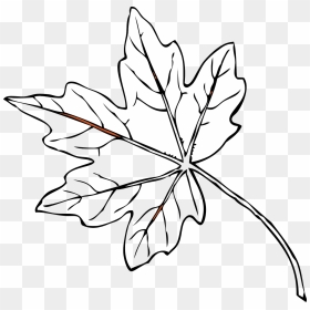 Fall Leaves Clip Art, HD Png Download - banana leaves png