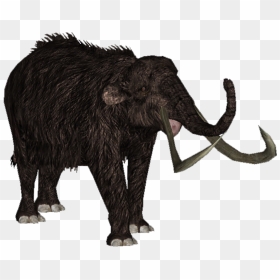 Zt2 Download Library Wiki Mammoth , Png Download - Mammuthus Primigenius, Transparent Png - mammoth png