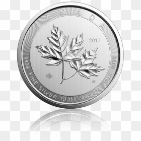 Magnificent Maple Leaf - Coin, HD Png Download - canadian maple leaf png