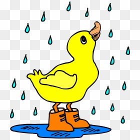 Duck In The Rain Clipart, HD Png Download - water puddle png