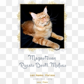 Maine , Png Download - Asian, Transparent Png - mufasa png