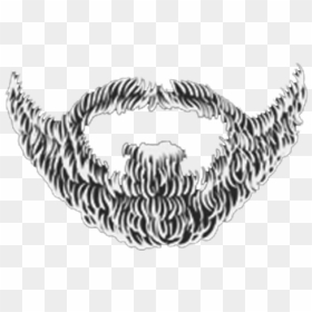 Barba Png, Transparent Png - barba png