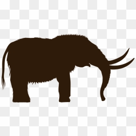 Wooly Mammoth Clipart, HD Png Download - mammoth png
