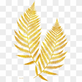 Gold Leaves Transparent Background, HD Png Download - gold leaf png