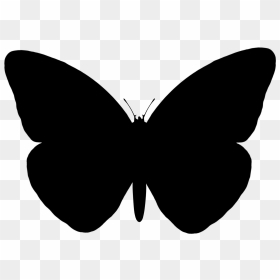 Butterfly Vector Graphics Portable Network Graphics - Silhouette Butterfly Vector Png, Transparent Png - butterfly vector png