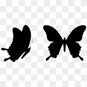 Butterfly Vector Graphics Clip Art Royalty-free Illustration - Silhouette Butterfly Vector Png, Transparent Png - butterfly vector png