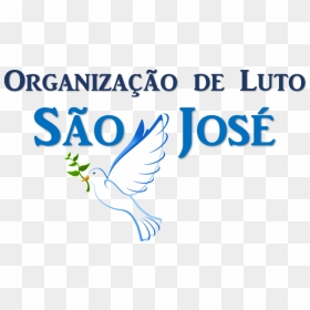 Organização De Luto São José - Batak Christian Protestant Church, HD Png Download - luto png