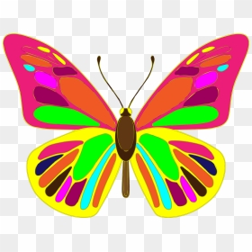 Free Butterfly Vector Art - Butterfly Vector Hd, HD Png Download - butterfly vector png