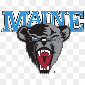 Maine Black Bears, HD Png Download - bears png