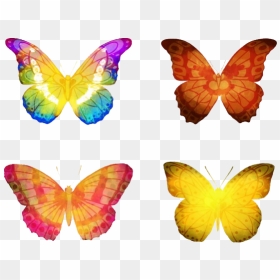 Butterflies Vector Png Hd - Butterfly Vector Hd, Transparent Png - butterfly vector png