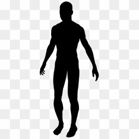 Male Silhouette Clip Arts - Human Male Silhouette Png, Transparent Png - male silhouette png