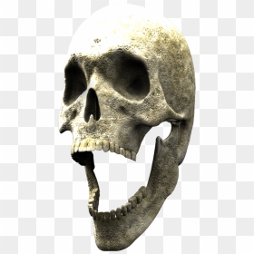 Here Is The 3d Skull To Finish Your Composite - Skull, HD Png Download - 3d skull png