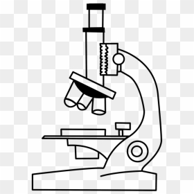 Drawing Microscope, HD Png Download - white particles png