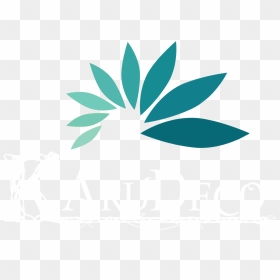 Karudeco Logo Full - Illustration, HD Png Download - leaf logo png