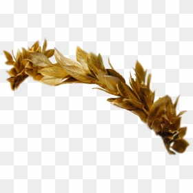 Greek Leaves Crown Clipart Clip Library Greek Crown - Gold Leaf Crown Png, Transparent Png - gold leaf png