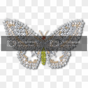Transparent Mariposa Clipart - Mariposas Con Brillos Png, Png Download - brillos png