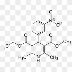 1 4 Dihydropyridine Sar, HD Png Download - efectos png