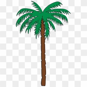 Cartoon Png Palm Tree, Transparent Png - palm tree clip art png