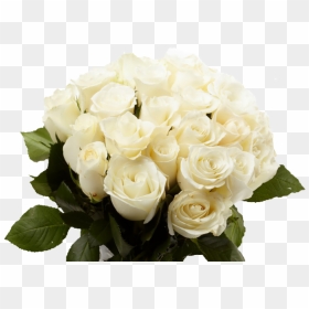 White Rose Bouquet Png , Png Download - Скачать Фото Белых Роз, Transparent Png - rose bouquet png