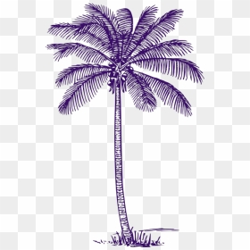 Palm Tree Svg Clip Arts - Drawing Realistic Palm Tree Outline, HD Png Download - palm tree clip art png